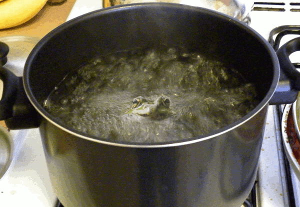 boiling-frog.gif